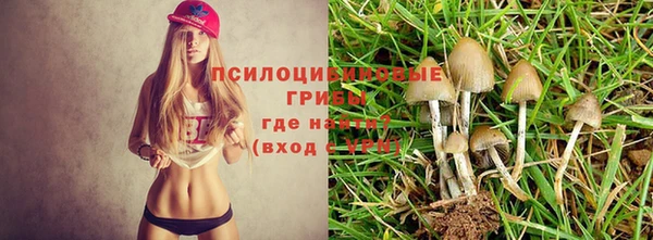apvp Алексин