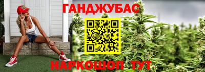 индика Дубна
