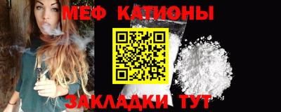 индика Дубна