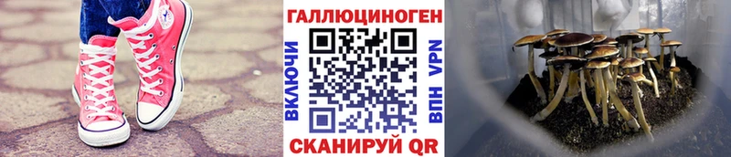 Псилоцибиновые грибы Magic Shrooms  гидра ТОР  Нефтекамск 