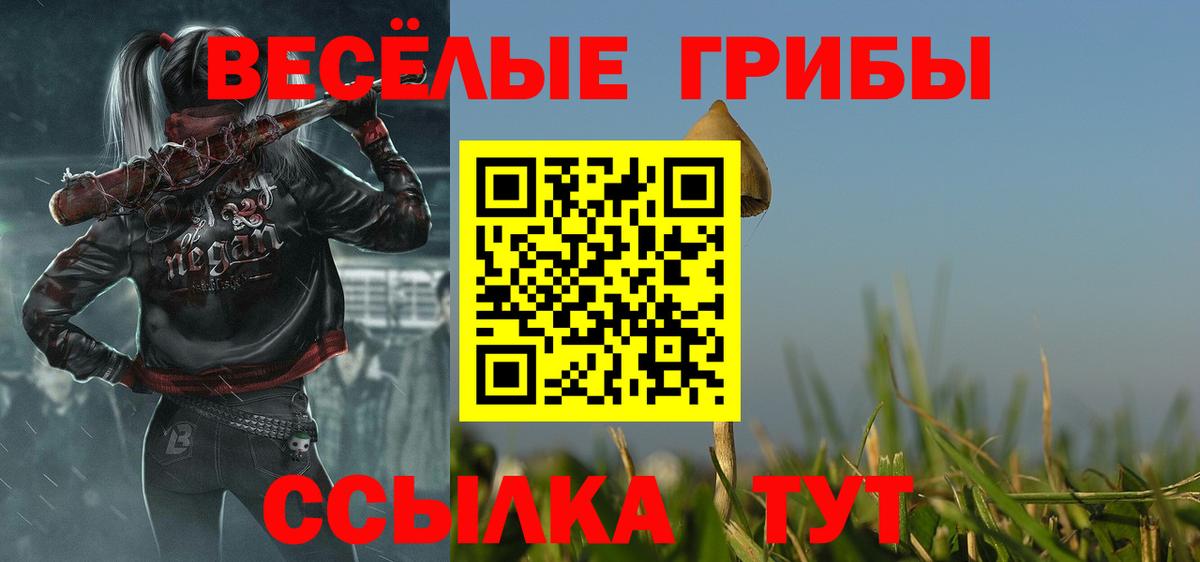 купить закладку  Псилоцибиновые грибы прущие грибы  Вход с VPN  Нефтекамск  Галлюциногенные грибы Cubensis 