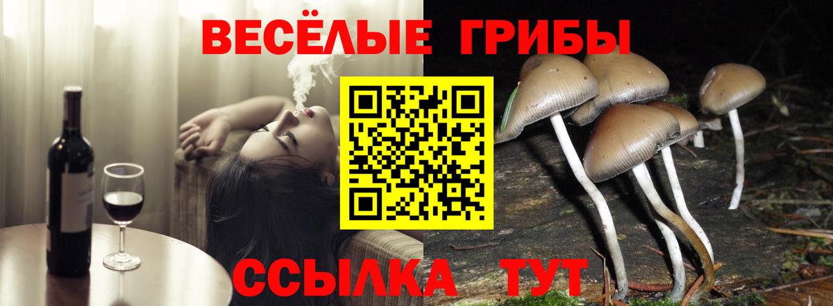 Галлюциногенные грибы мицелий Нефтекамск
